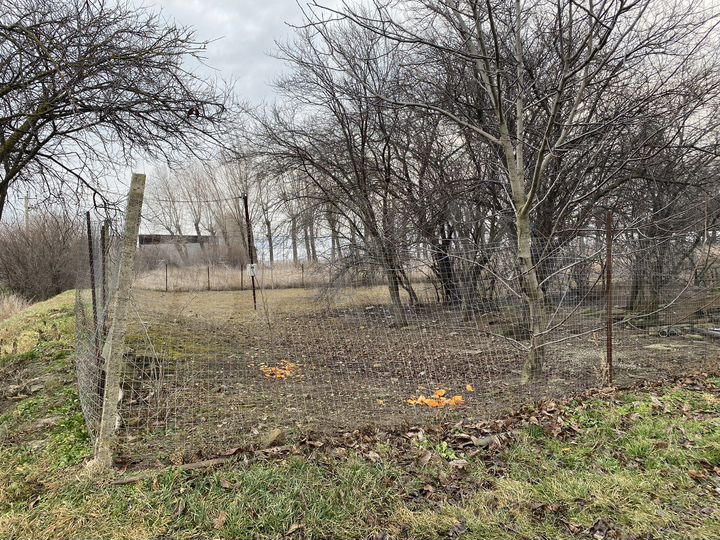 Участок 6,6 сот. (ИЖС)