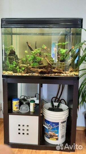 Аквариум с тумбой