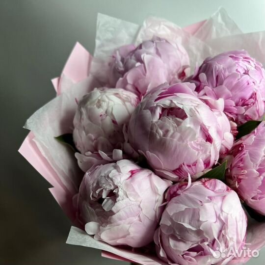 Пионы Цветы Букет Москва с доставкой