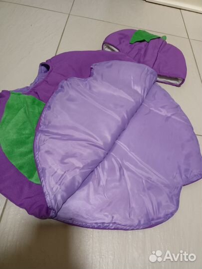 Костюм слива