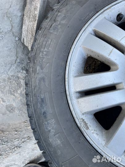 Nexen Winguard Ice SUV 215/65 R16