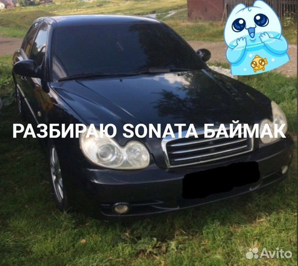 Двери Hyundai sonata