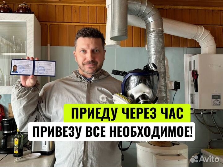 Уничтожение тараканов дезинфекция