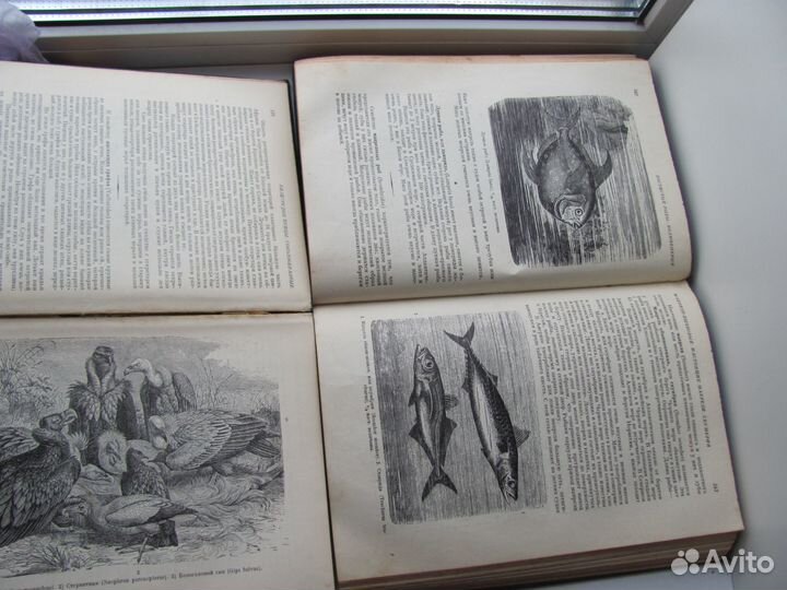 Брэм А.Э.Жизнь животных в 2-х томах 1930 года
