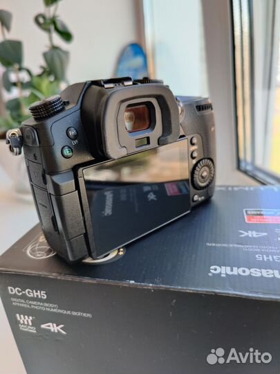 Panasonic Lumix GH5 пробег 1500