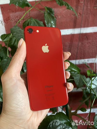 iPhone 8, 256 ГБ