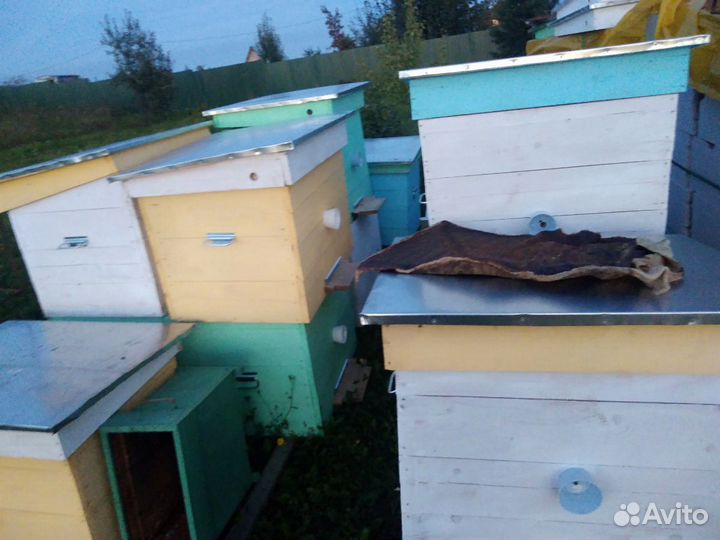 Улей для пчел