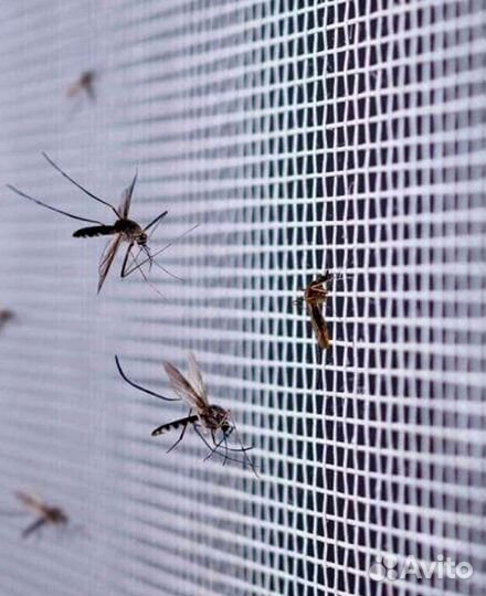 Москитные сетки на окна