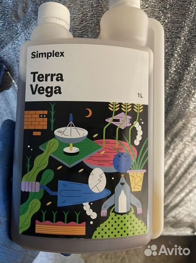 Simplex terra vega
