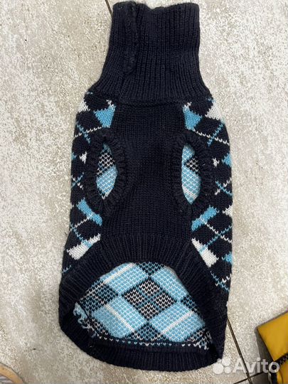 Одежда для собак