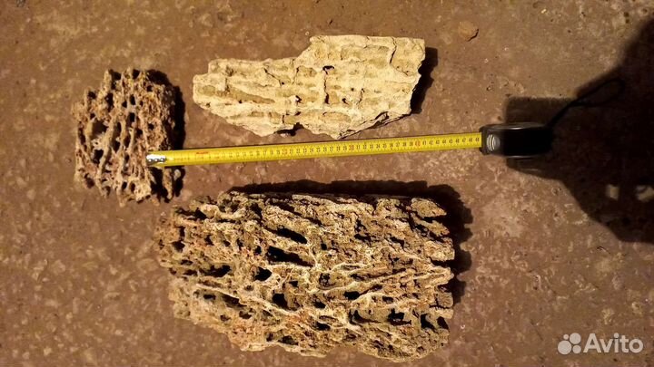 Природный камень ракушечник для аквариума