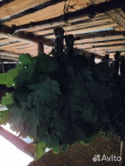 Веники для бани