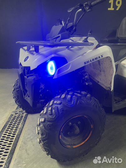 Sharmax 300