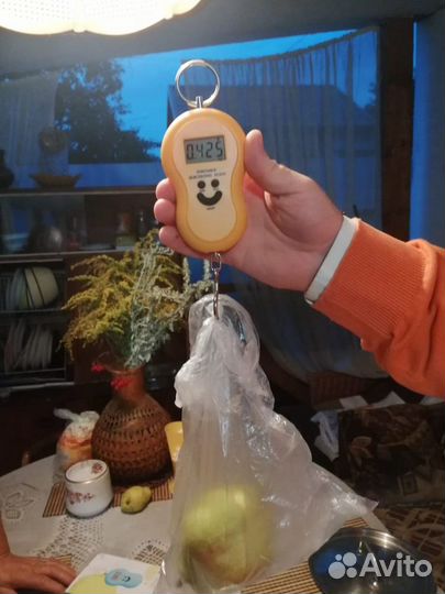 Супер груша саженцы и черенки для прививки