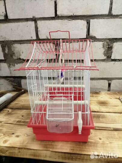 Клетка для птиц