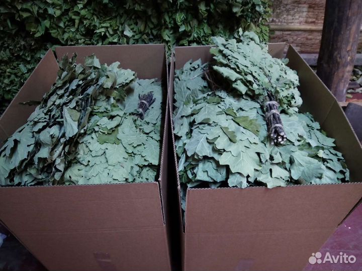 Комплект 40 дубовых веникв для бани