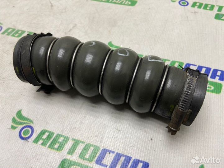 Патрубок интеркулера Ford C-Max DV6 2011