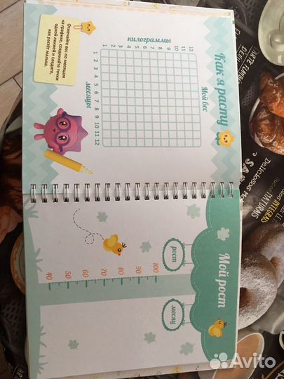 Альбом первого года жизни