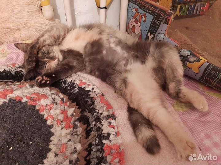 Аннушка -ласкушка красотушка