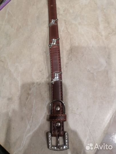 Ошейник для собак