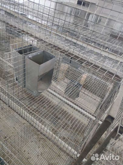 Клетка для кролика