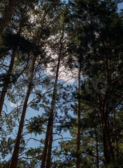 Участок 4 сот. (ИЖС)