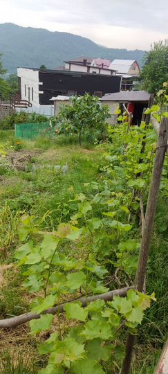 Участок 5 сот. (СНТ, ДНП)