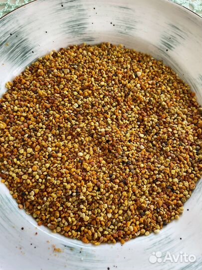 Пчелиная пыльца сезон 2023