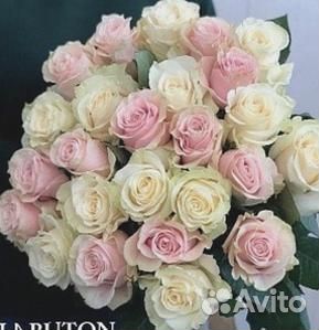 Букет из 25 роз