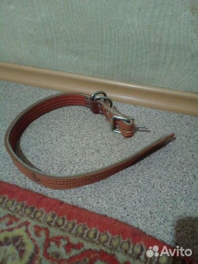 Ошейник для собак