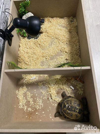 Вольер для рептилий и земноводных