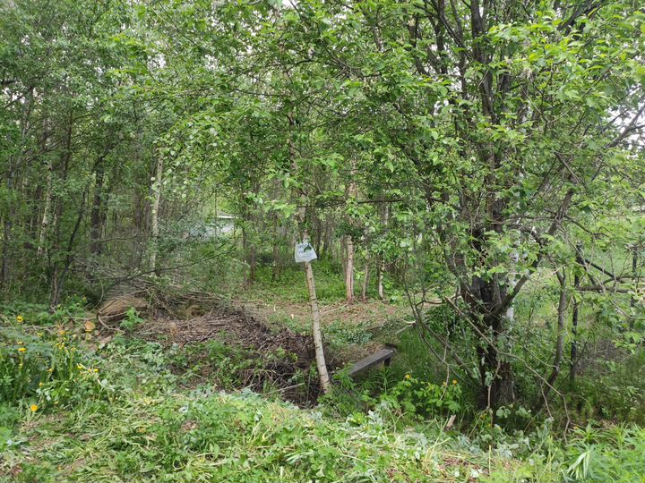 Участок 8 сот. (СНТ, ДНП)