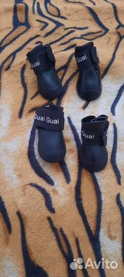 Ботинки для собак
