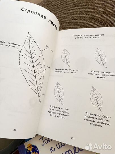 Я учусь с montessori курс упражнений