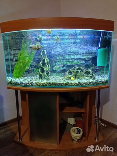 Аквариум