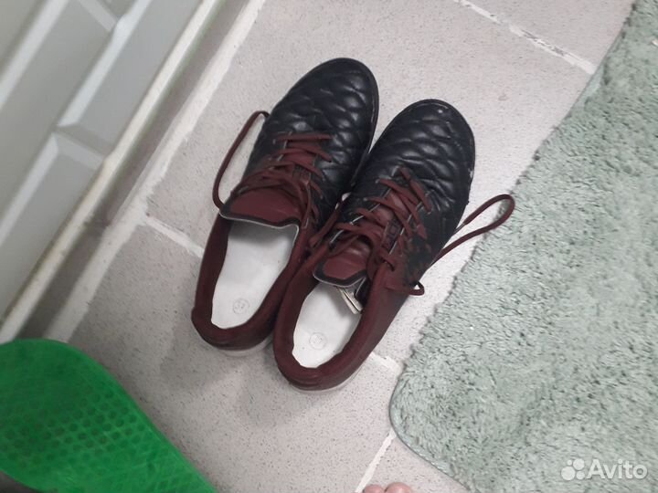 Сороконожки подростковые