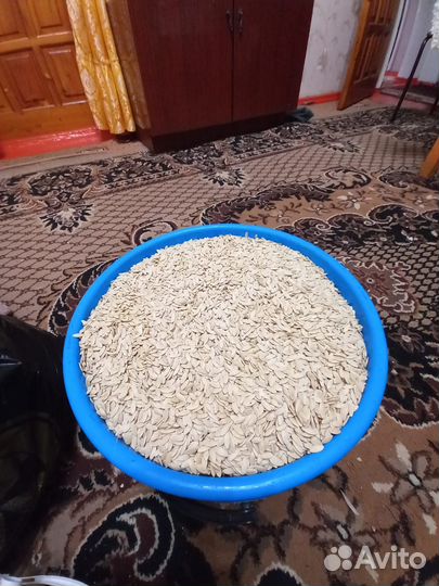 Семена для огорода