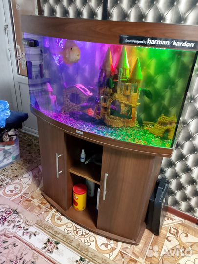 Аквариум