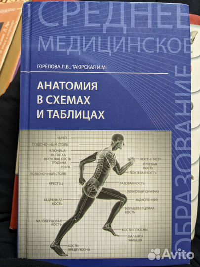 Атлас анатомии человека книги