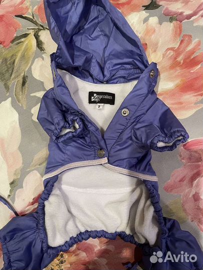 Одежда для собак