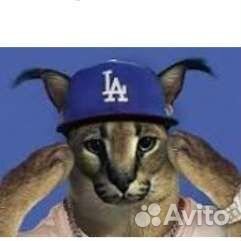 Тренер по standoff 2