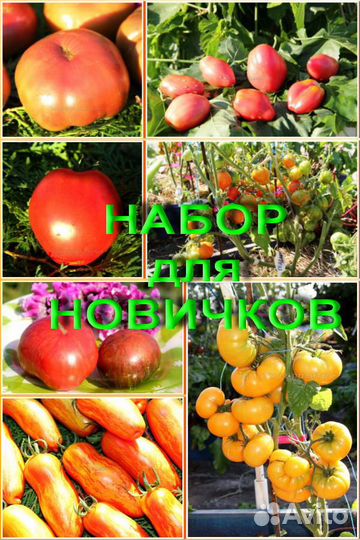 Набор коллекционных семян 