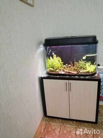Аквариум с тумбой