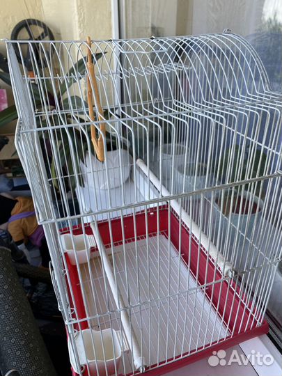 Клетка для птиц