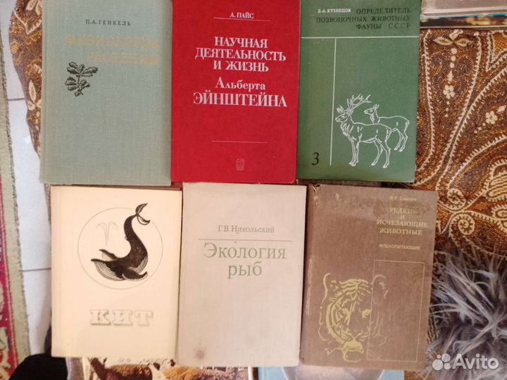 Книги