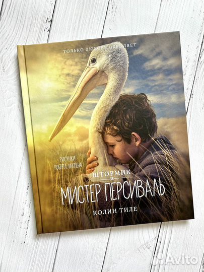 Штормик и мистер Персиваль (илл. Роберта Ингпена)