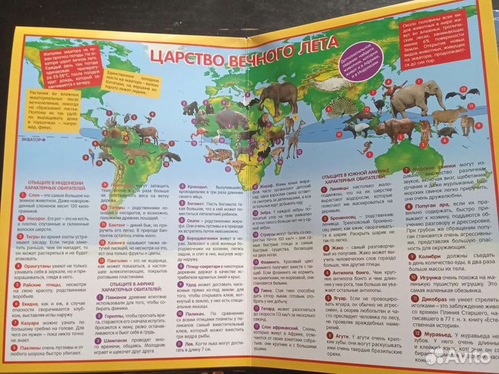 Настольная игра ходилка