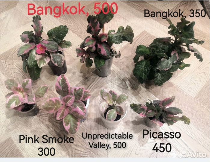 Акварельные эписции