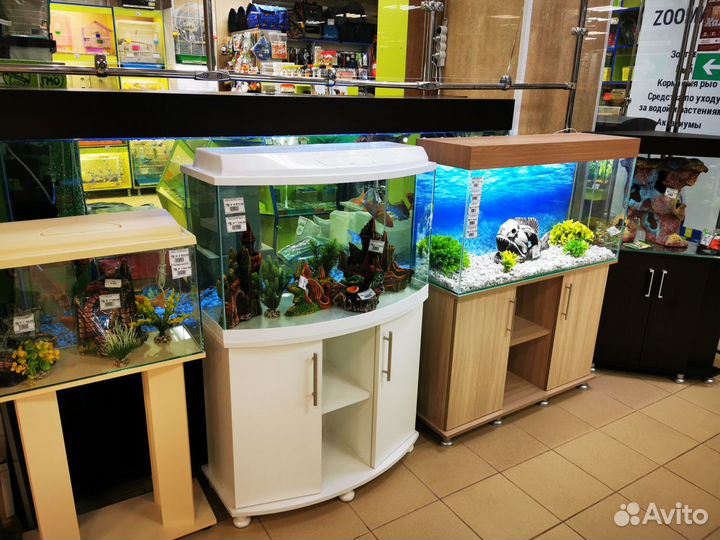 Аквариумы в наличии и на заказ