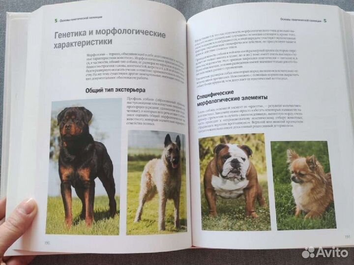 Разведение собак, практическое руководство